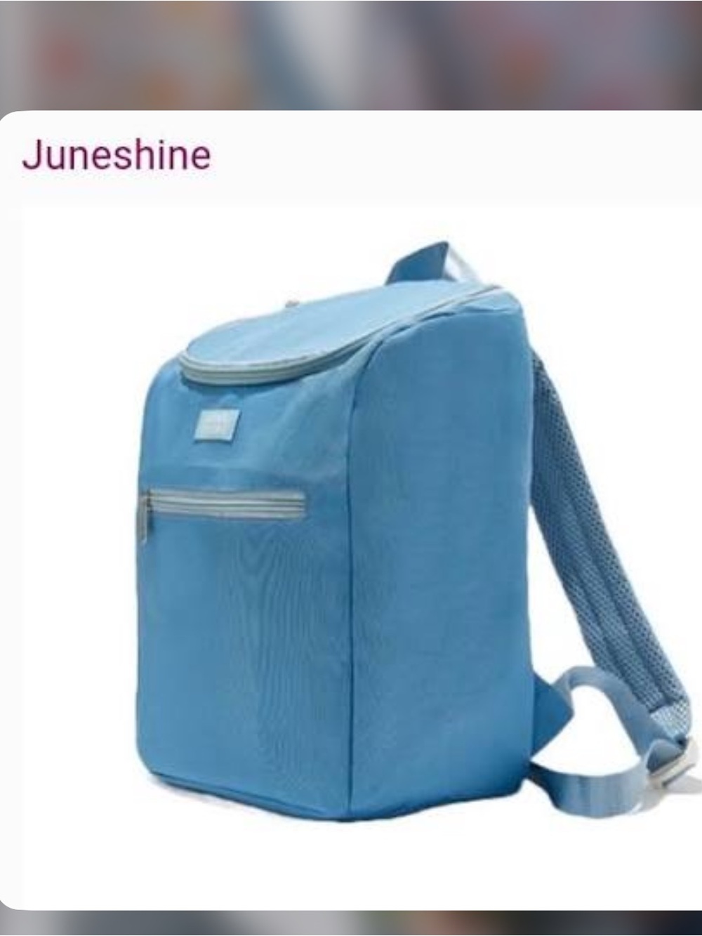 NWT JuneShine Insulated Cooler Backpack